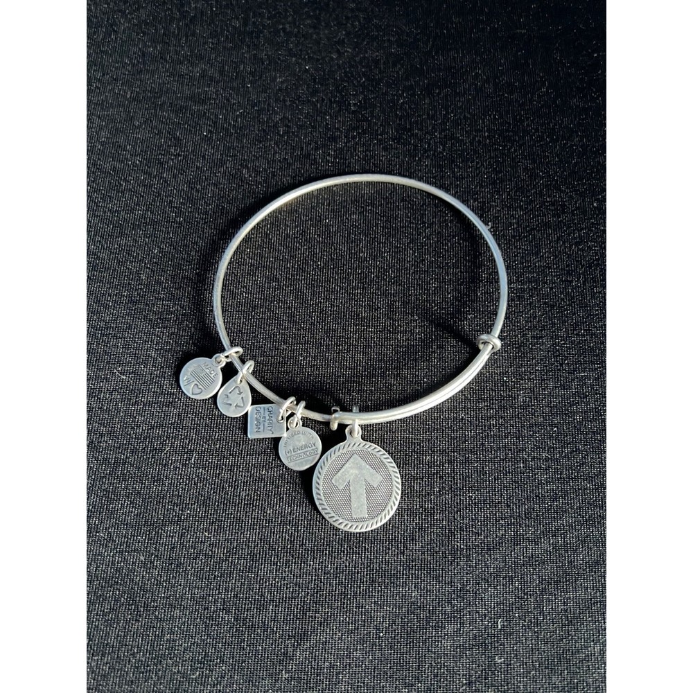 Alex and Ani Bracelet - Stand up to Cancer